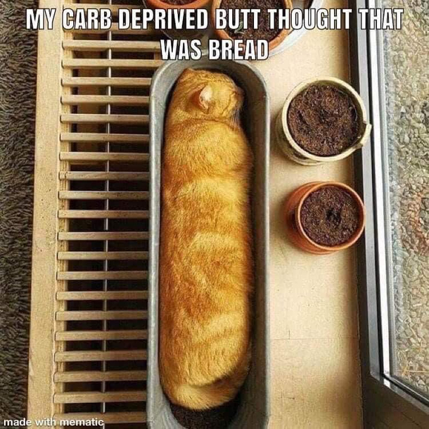 If I fits I Sit