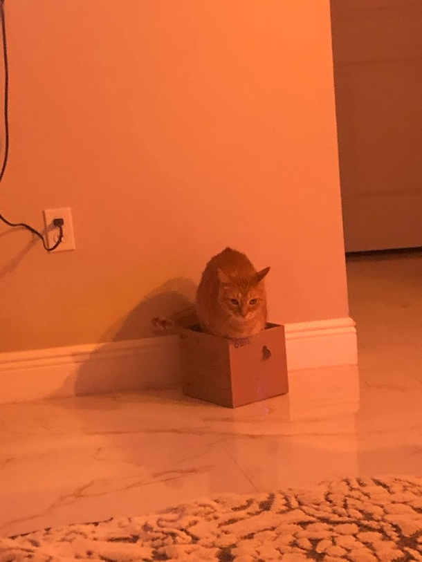 If I fits I try to sits