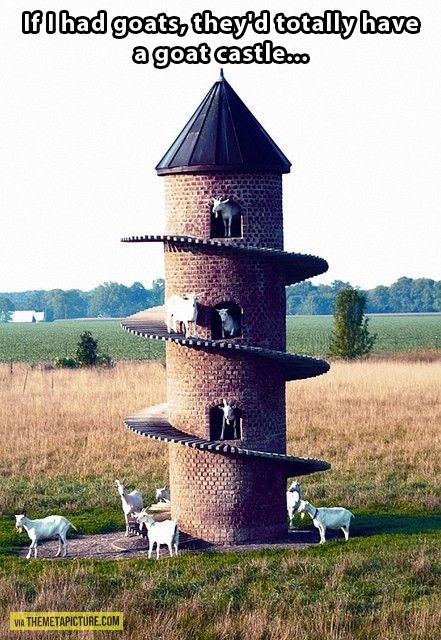 If I had goats