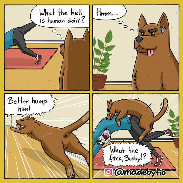 If in not sure whats happening - just hump it - Dog