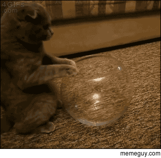 If it fits
