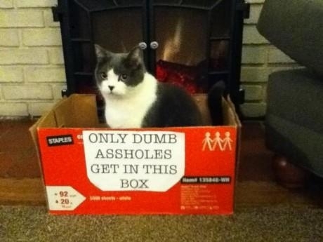 If it fits I am a dumb asshole