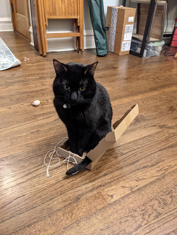 If it fits I sits