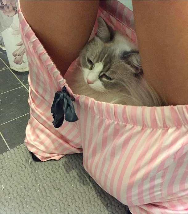 If it fits I sits Even if its in your pants while you pee