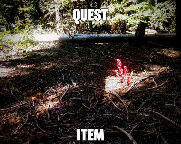 If my experience gaming has taught me anything its this