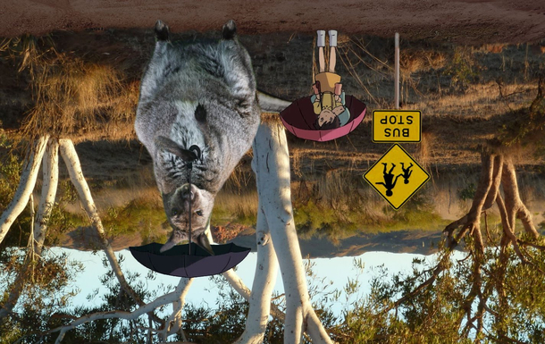 If My Neighbor Totoro was set in Australia