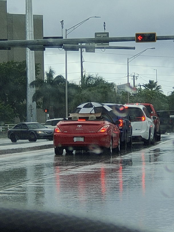 If only cars came with roofs 