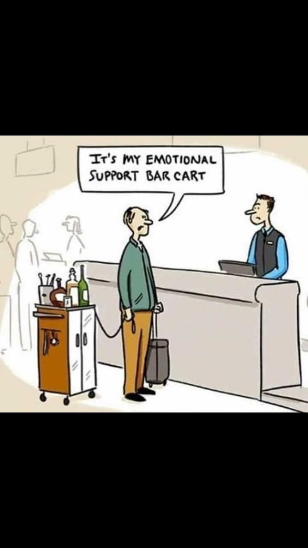 If people can have emotional support peacocks I should be able to have this