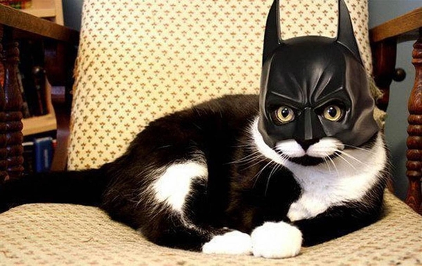 If Reddit were to cast Batman