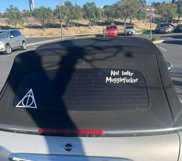 If Samuel Jackson was a wizard hed have this sticker