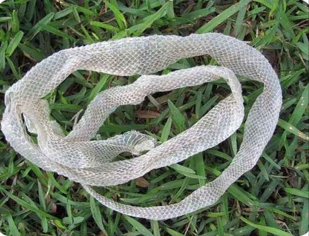 If someone sees my ex tell them they left an old outfit on my lawn