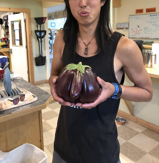 If the eggplant emoji  was anatomically correct best farmers market find ever