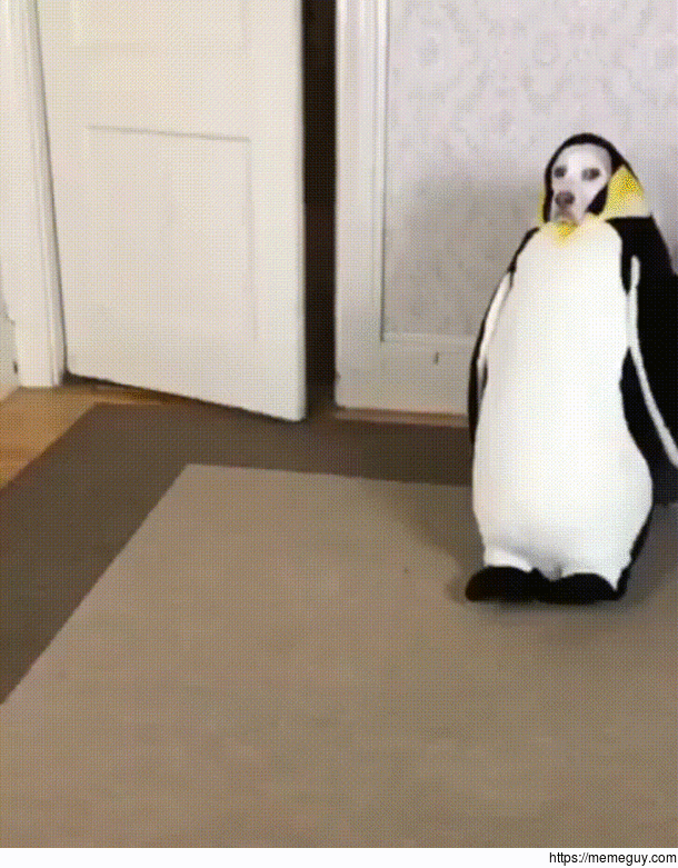 If this doesnt make your day nothing will