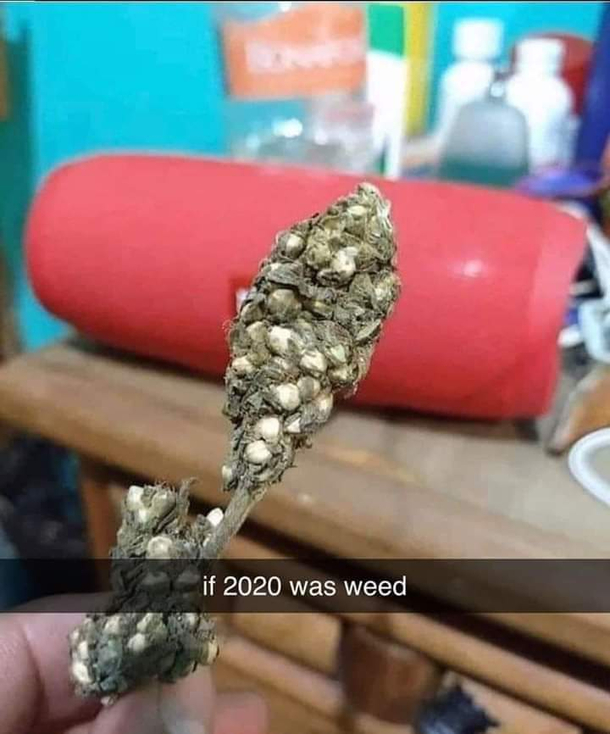 if  was weed