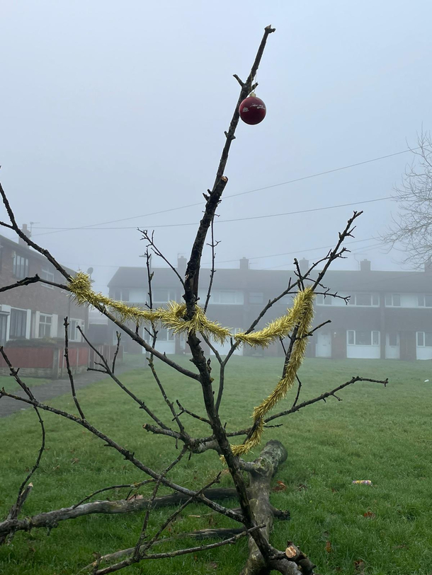 If  were a Christmas tree