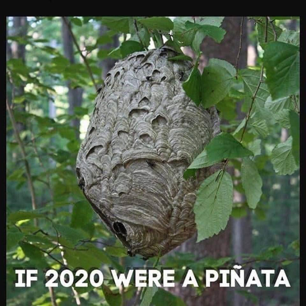 If  were a pinata