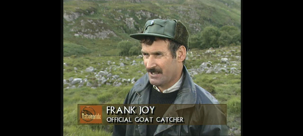 If you can be anything you want to be why not be this