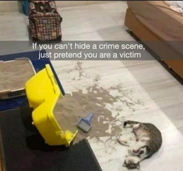 if you cant hide a crime scenepretend to be victim