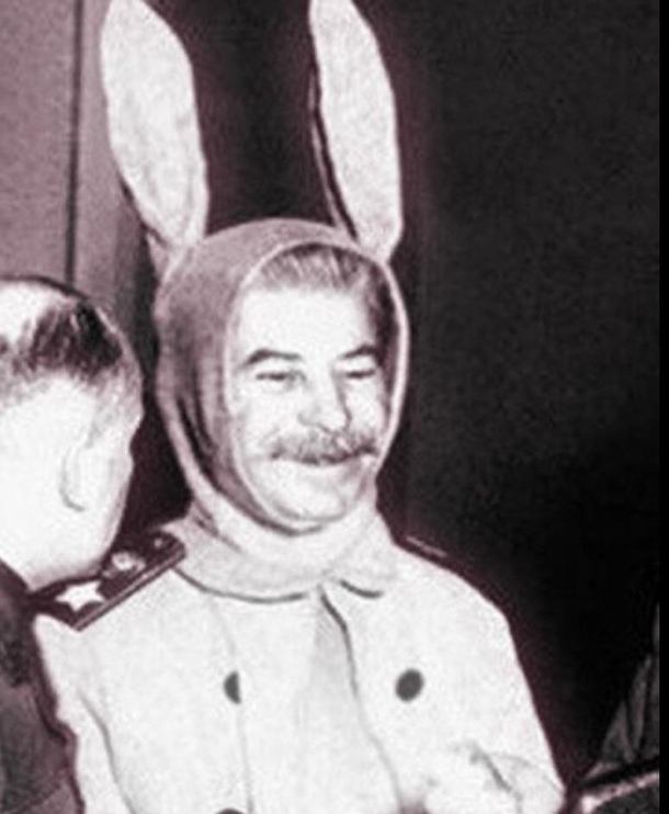 If you ever felt sad remember that Stalin want to see your smile