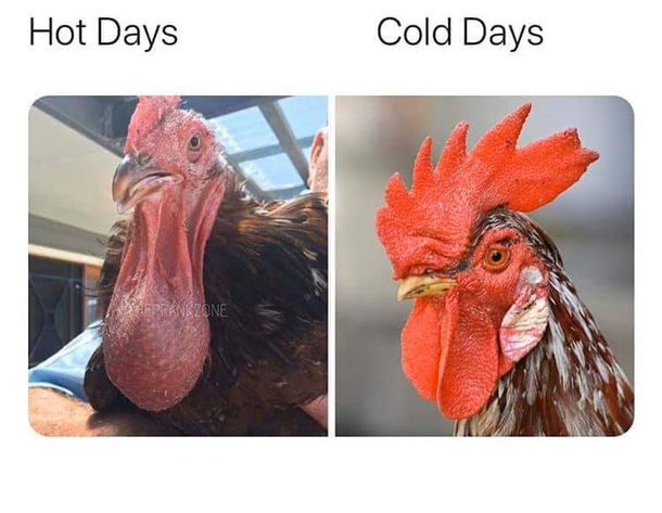 If you know You know