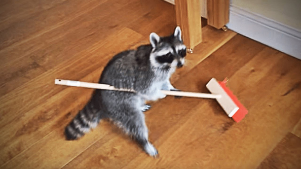 If you mess up the kitchen you have to clean it yourself
