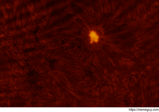If you wondered where the entrance to Hell is its on the Sun and I photographed it with a telescope