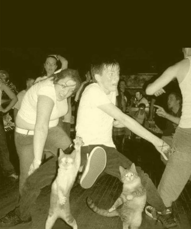 If your party dont lit like this dont invite me over