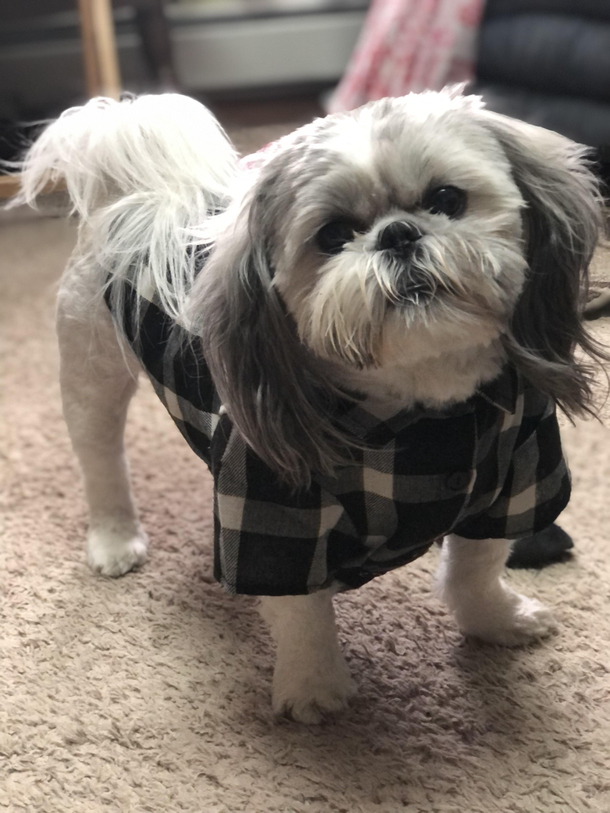 If your pet had a dating website what would be their profile picture
