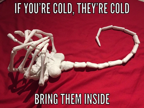 If youre cold theyre cold