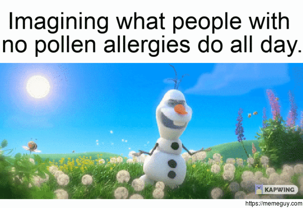 Ill accept the allergies please stop this snow