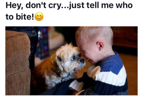 Ill avenge for you little human