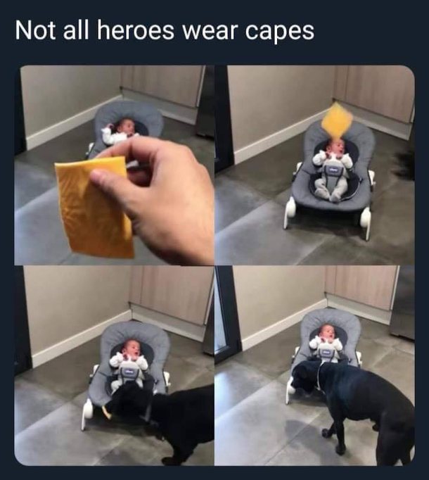 Ill be your shield my boy