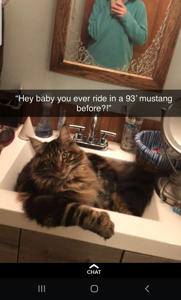 Ill get my sink back sometime in October