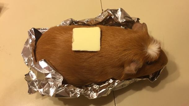 Ill see your baked potato cosplay and raise you yam cosplay