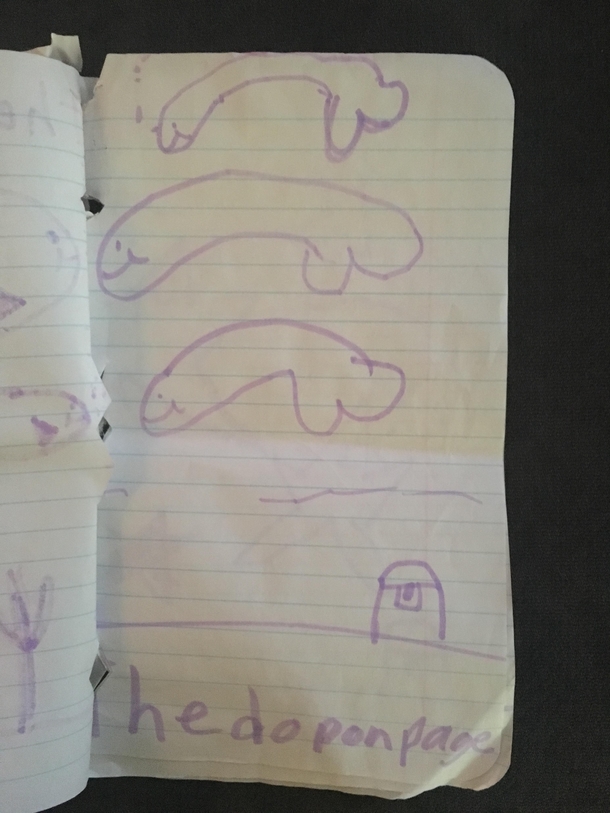 Ill see your kids giraffe penis and raise you my cousins dolphins