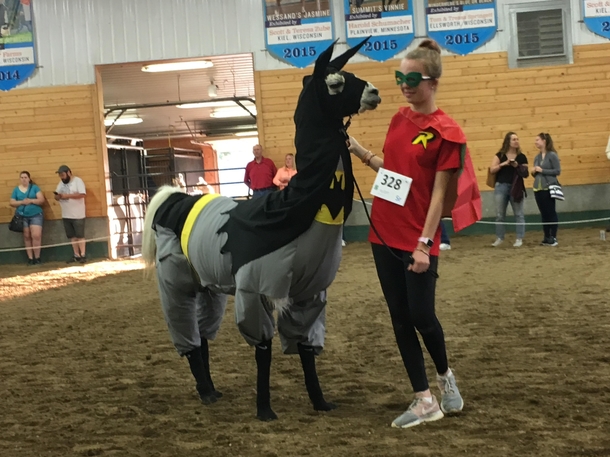 Ill see your llama lobster and raise you llama Batman