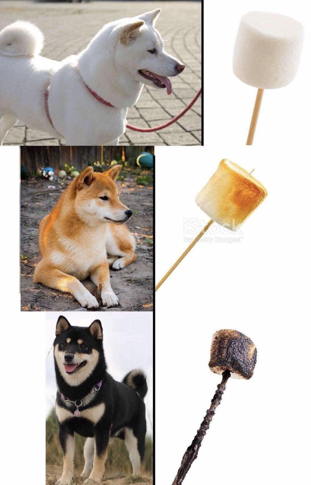 Ill take the toasted one please