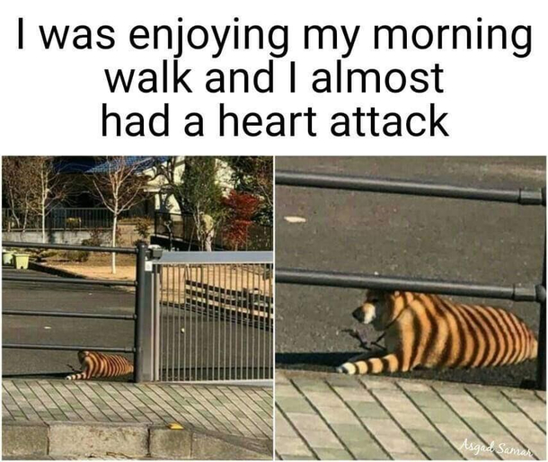 Illusion 