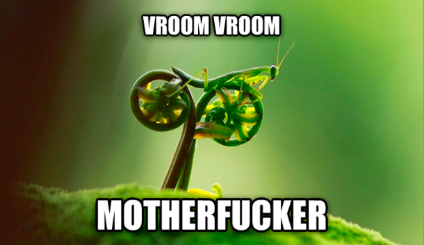 Im a bike