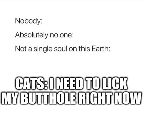 Im a dirty bitch
