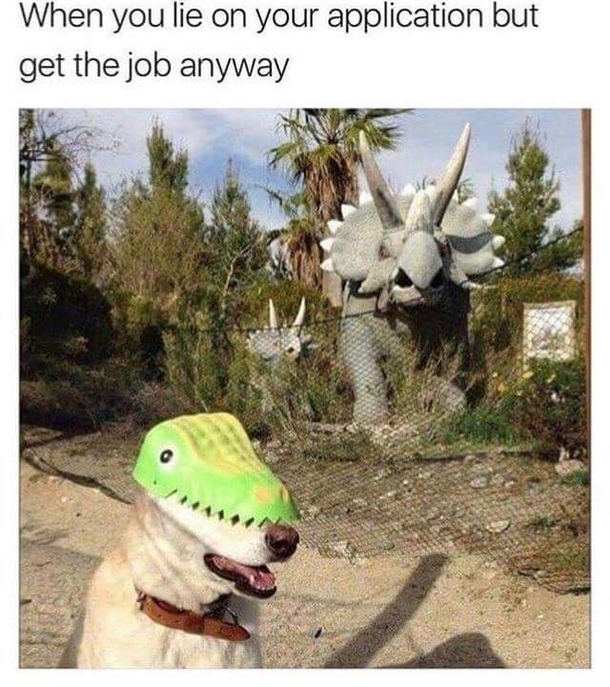Im a doggosauresrex  years old and a terrifying rawr