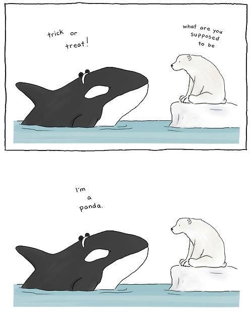 Im a panda