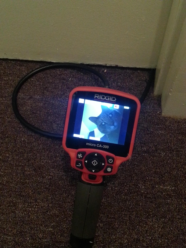 Im a plumber and recently bought a new inspection camera My friend jokingly asked if it could peek under doors