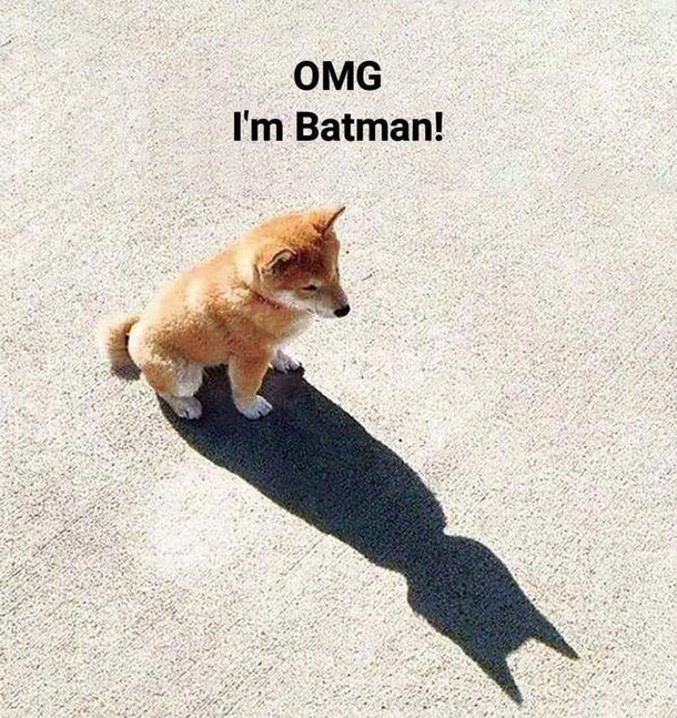 Im Batman