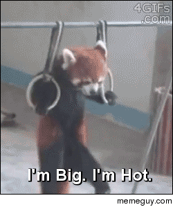 Im big Im hot