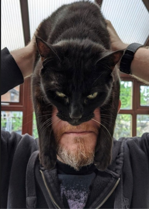 IM CATMAN