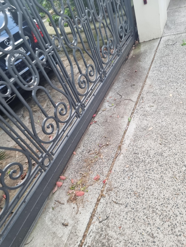 Im clearly  years old but this gate made me laugh