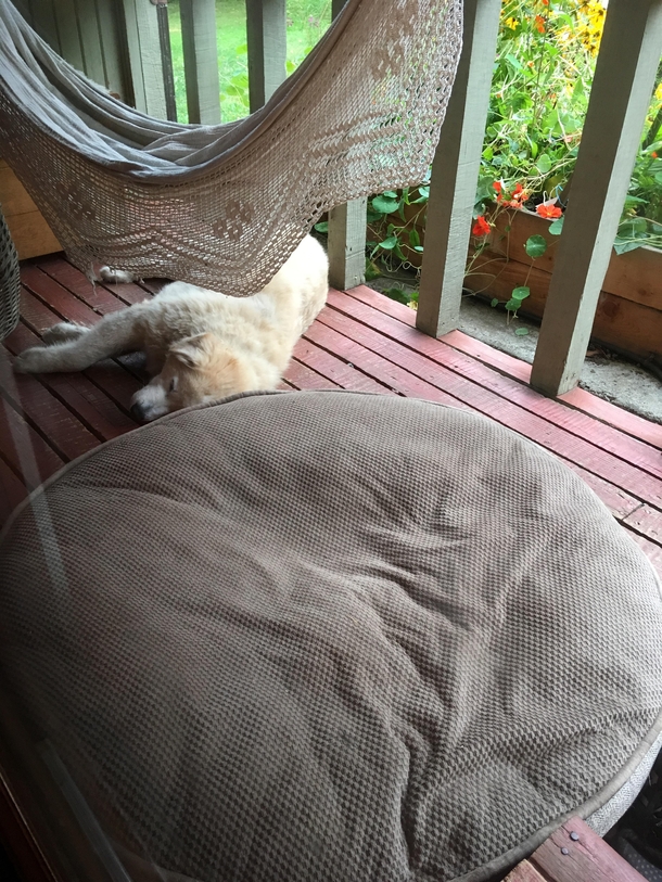 Im glad hes enjoying the cozy bed we bought him