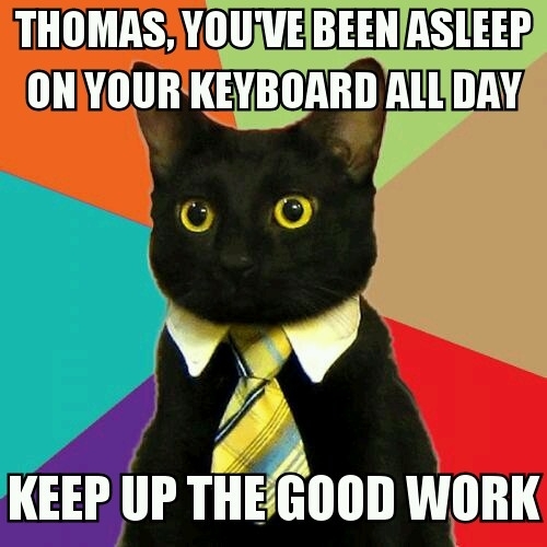Im glad to see business cat coming back
