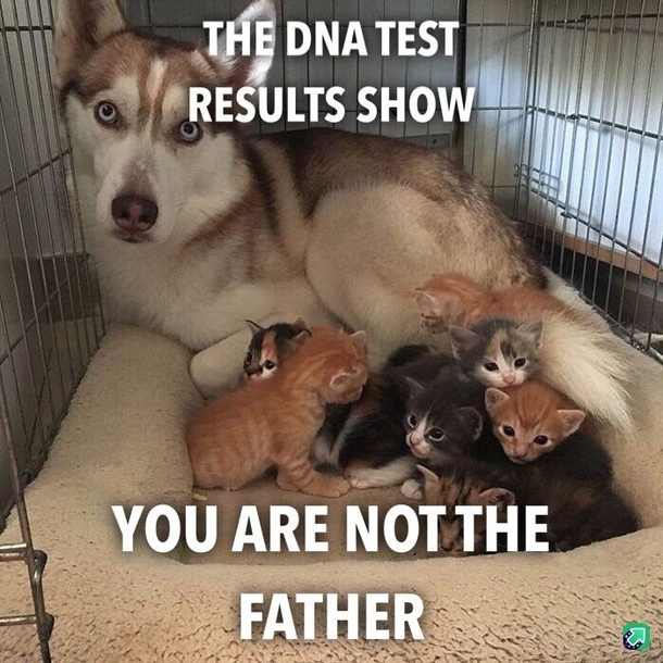 Im going to raise them anyway Maury